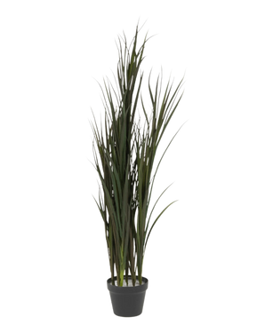 El Césped Artificial Burdeos UV 120 cm es una planta alta de césped artificial con esbeltas hojas verdes en una sencilla maceta negra, sobre un fondo blanco liso.