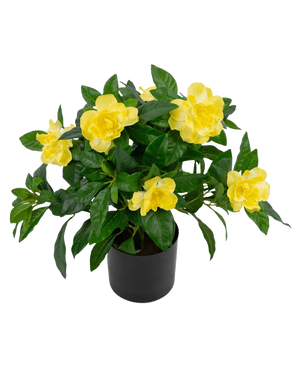 La Planta Artificial Gardenia UV 39 cm es una planta artificial de un verde exuberante con flores grandes y de un amarillo vibrante y hojas brillantes en una maceta negra, sobre un fondo blanco liso.