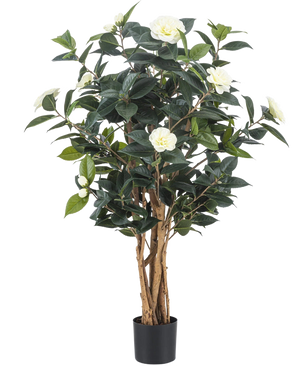 La Planta Artificial Camellia japonica 100 cm tiene varios tallos altos de color marrón, hojas de color verde oscuro y flores artificiales blancas sobre un fondo blanco liso.