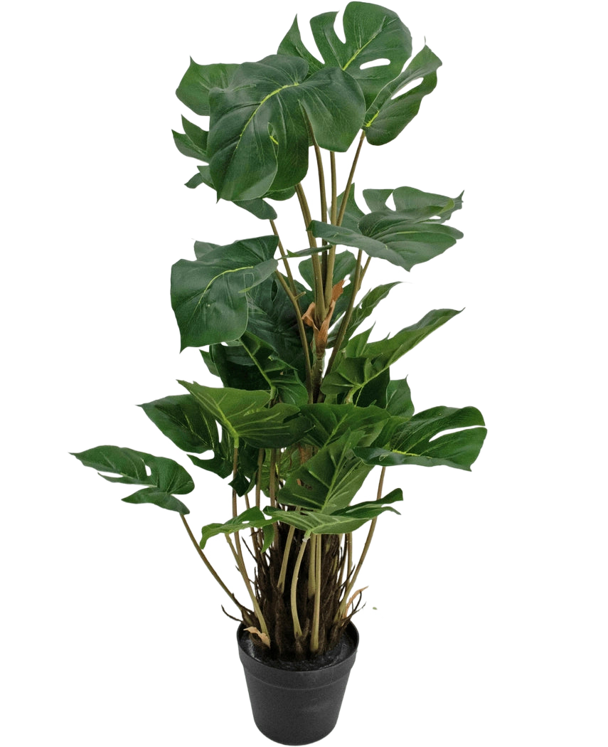 La Planta Artificial Monstera 90 cm es una planta artificial con grandes hojas de color verde brillante con divisiones naturales, erguida en una maceta negra sobre un fondo liso blanco.