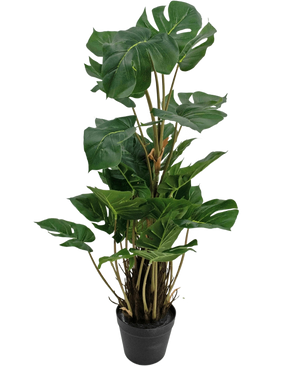 La Planta Artificial Monstera 90 cm es una planta artificial con grandes hojas de color verde brillante con divisiones naturales, erguida en una maceta negra sobre un fondo liso blanco.