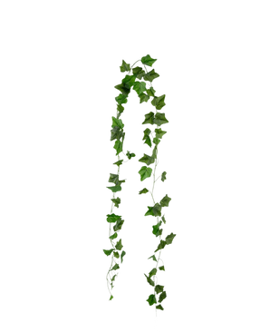 La guirnalda de hiedra artificial verde de 180 cm tiene hojas puntiagudas de hiedra verdes que cuelgan en dos hebras sobre un fondo blanco liso.
