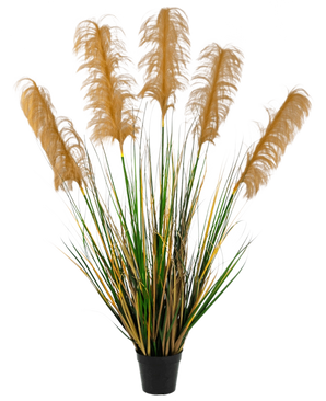 El retardante de fuego de Hierba de Pampa Artificial de 120 cm tiene hojas altas parecidas a la hierba de color verde y amarillo con penachos marrones esponjosos. Esta elegante planta artificial ignífuga añade sofisticación a cualquier colección de plantas artificiales sobre un fondo blanco.
