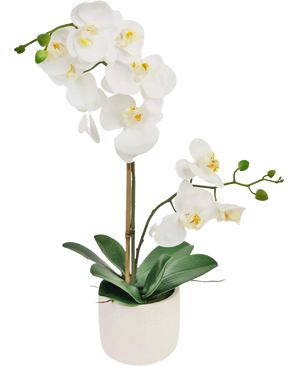 La Orquídea Artificial Real Touch 60 cm blanca tiene delicadas flores blancas, capullos verdes y anchas hojas verdes, sostenidas por una fina estaca en una pequeña maceta blanca.