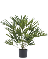 La planta artificial Baby Palm Fan en maceta UV 50 cm tiene hojas verdes largas y delgadas en una elegante maceta, ideal para añadir un toque elegante a su interior o para combinar con macetas decorativas para darle un toque extra.