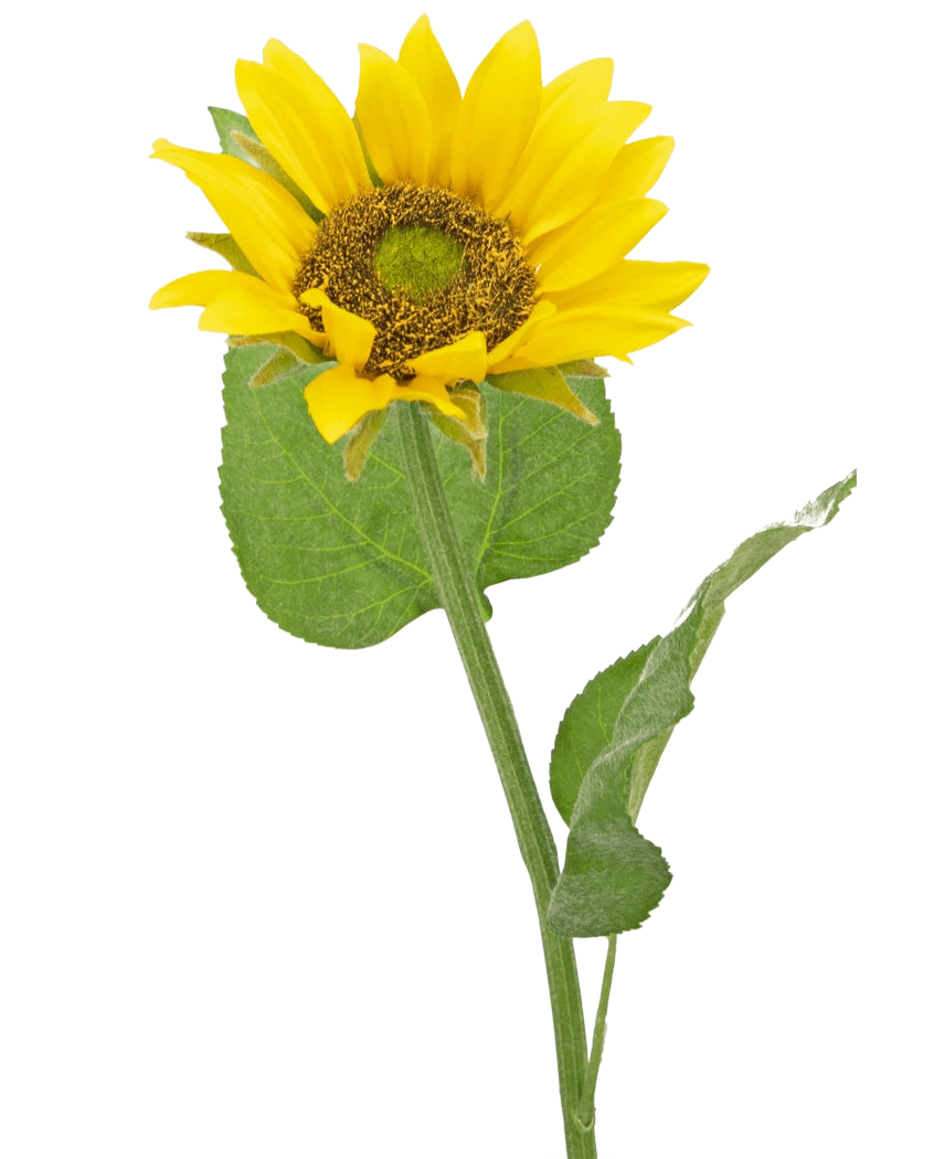 El Girasol Artificial Deluxe 52 cm es un girasol artificial con pétalos de color amarillo brillante, un corazón marrón oscuro y hojas verdes sobre un tallo largo, fotografiado sobre un fondo blanco liso.