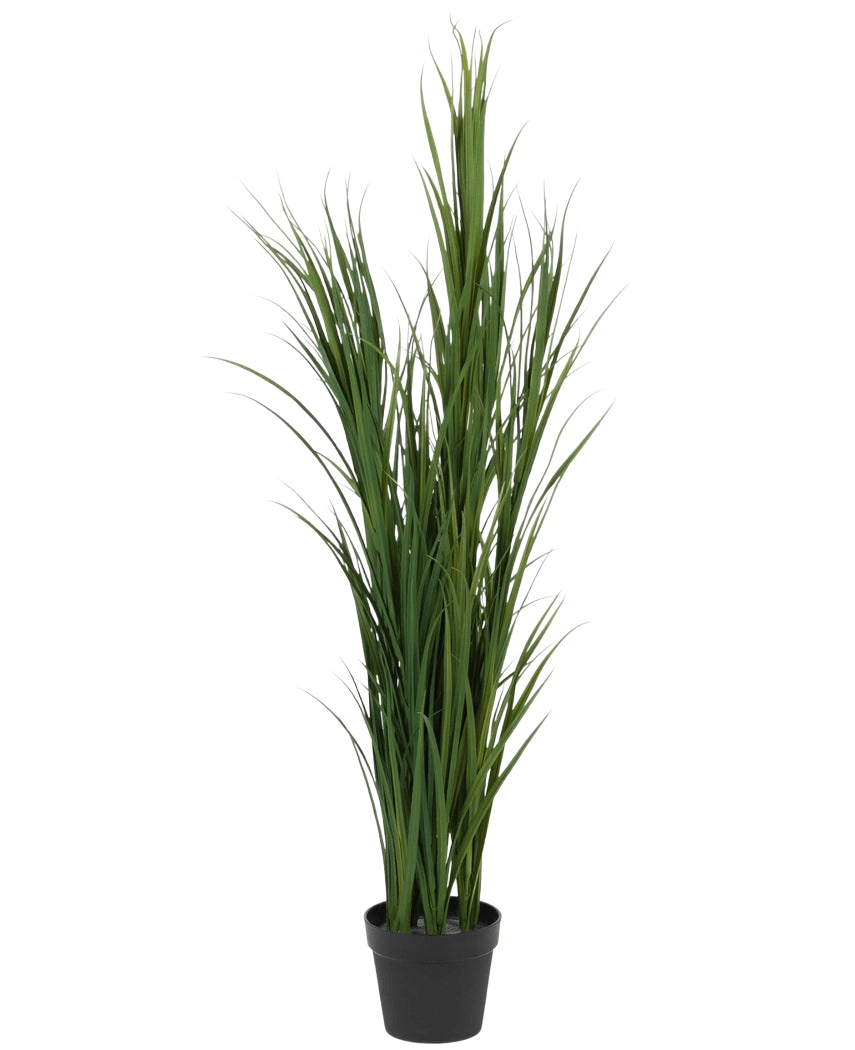 El Césped Artificial Verde UV 150 cm es una planta alta de césped artificial con hojas verdes largas y delgadas en una pequeña maceta negra, representada sobre un fondo blanco liso.