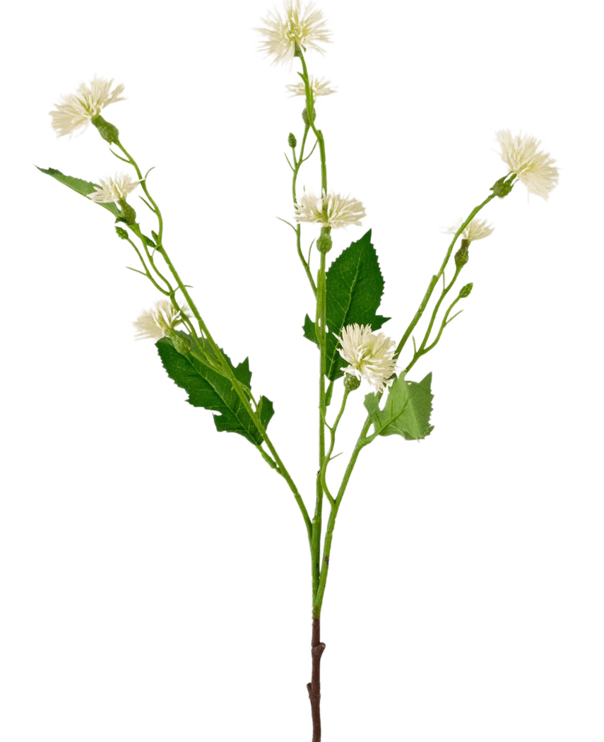La flor artificial Daisy Spray 54 cm rayo blanco tiene un único tallo verde con racimos ramificados de pequeñas flores blancas parecidas a margaritas y hojas verdes irregulares, sobre un fondo blanco liso.