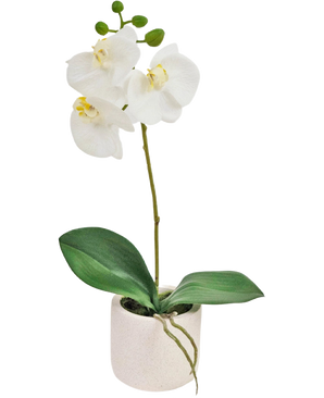 La Orquídea Artificial Real Touch 30 cm blanca tiene flores de orquídeas blancas realistas y hojas verdes en una pequeña maceta blanca, perfecta para añadir elegancia a cualquier espacio.