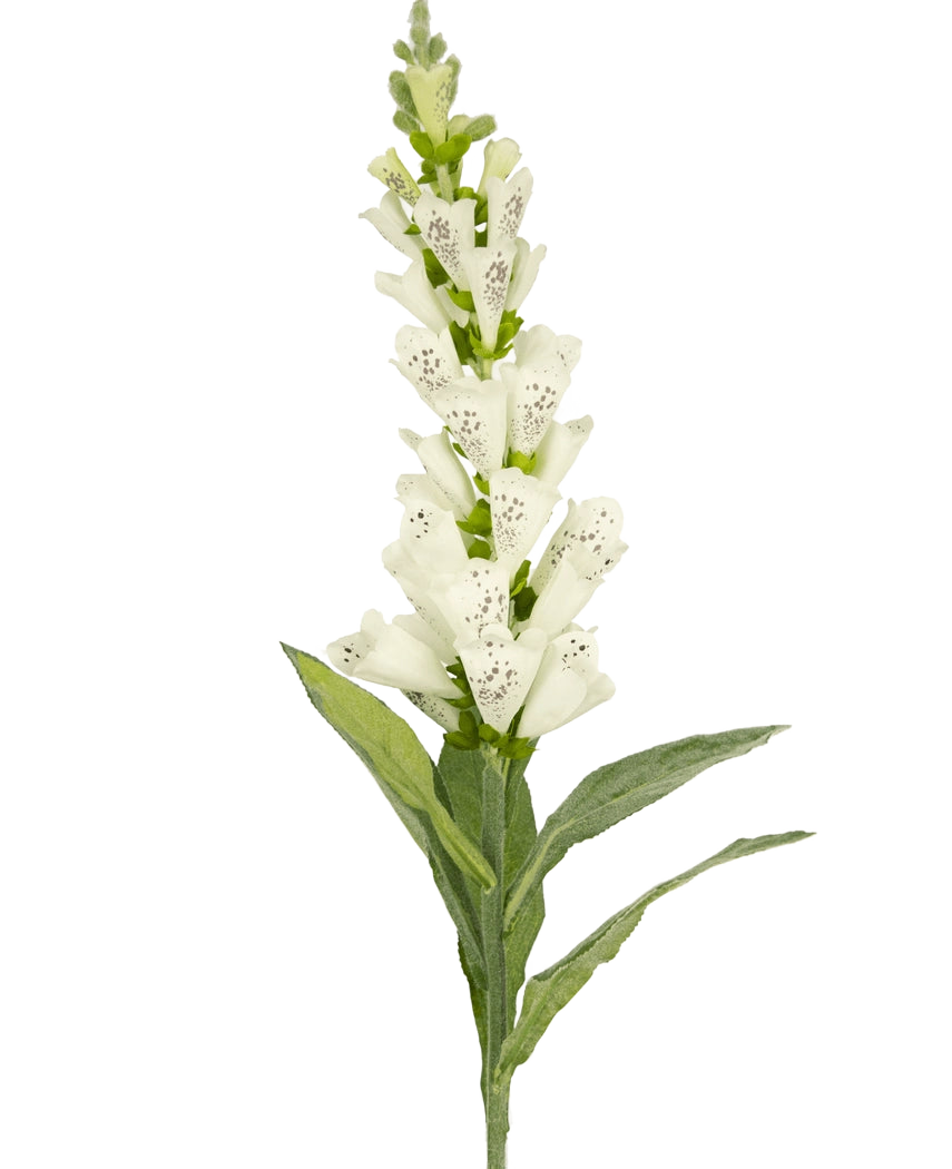 La flor artificial Dedalera de 90 cm blanca tiene hojas verdes y flores tubulares blancas con lunares, ideal para una decoración lujosa o como acento llamativo en un ramo de flores artificiales.