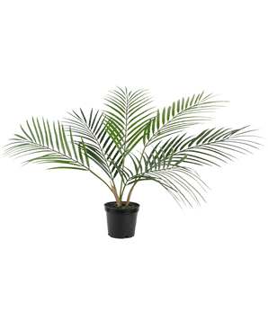 La palmera artificial Chamaedorea de 48 cm tiene hojas verdes largas y delgadas que se extienden hacia afuera y se presenta en una sencilla maceta de plástico negro sobre un fondo blanco liso.