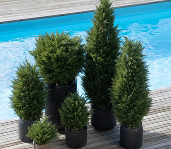 Plantas artificiales para exteriores con UV y sin cuidados