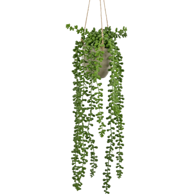 plantas de plastico colgantes Planta colgante artificial Senecio 76 cm – Easyplants España