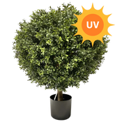 Planta artificial Buxus UV