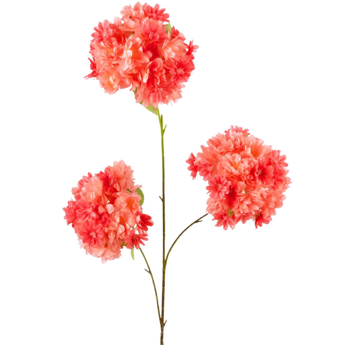 Flor de cerezo