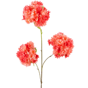 Flor de cerezo