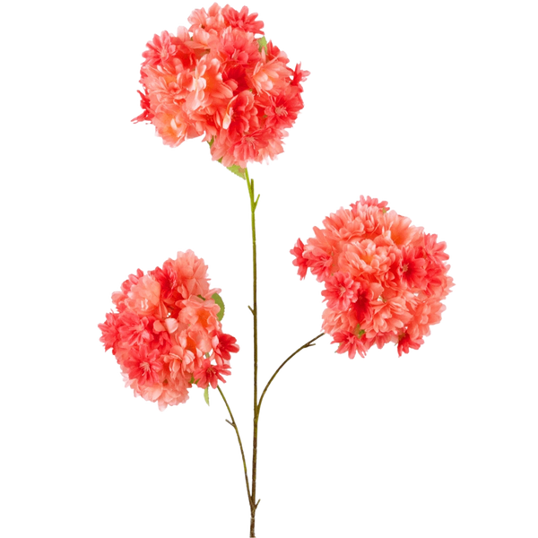 Flor de cerezo