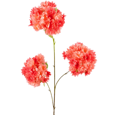 Flor de cerezo