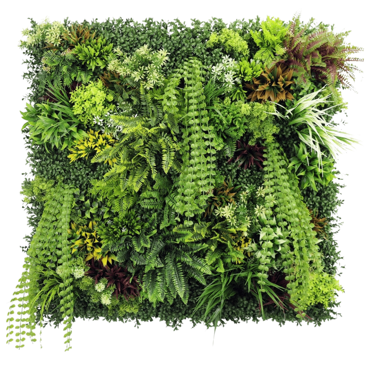 Seto artificial Jungle