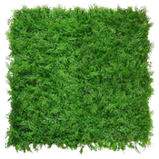 Seto artificial Helecho