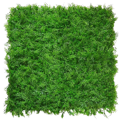 Seto artificial Helecho