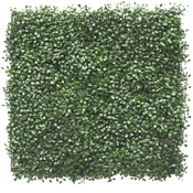 Seto artificial Buxus