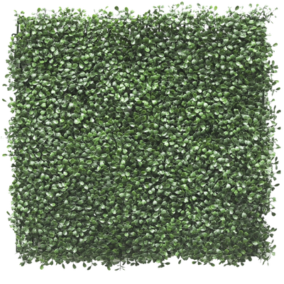 Seto artificial Buxus