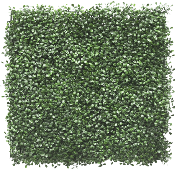 Seto artificial Buxus