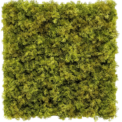 Seto artificial Musgo