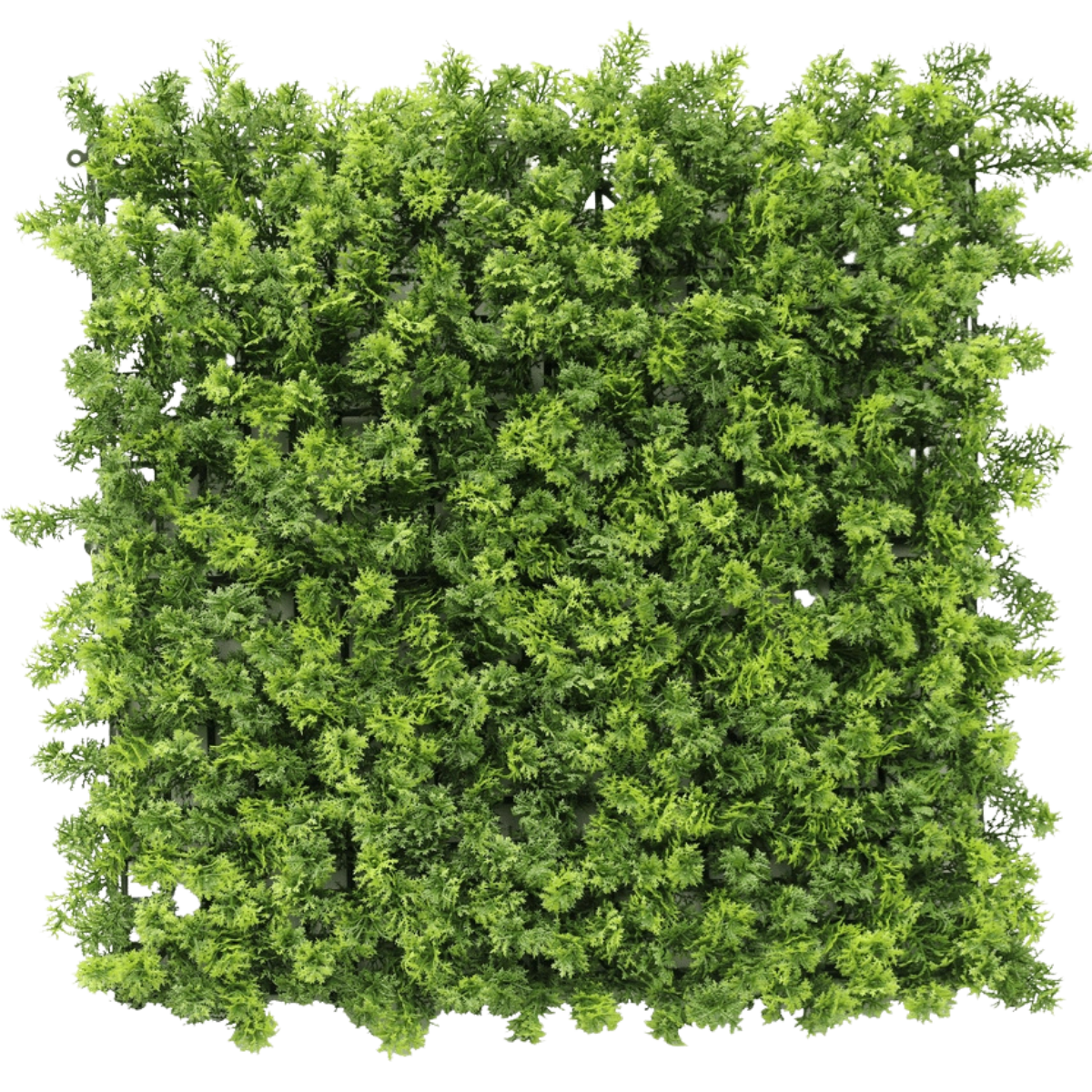 Seto artificial 50x50