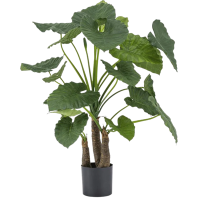 Alocasia artificial