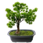 Bonsai artificial