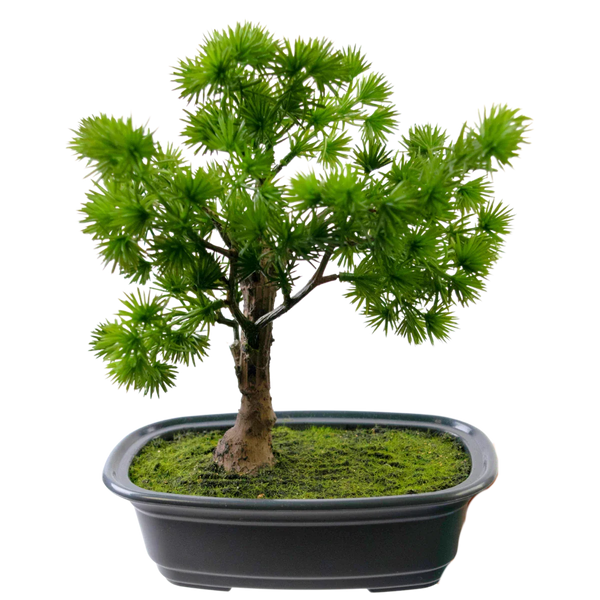 Bonsai artificial