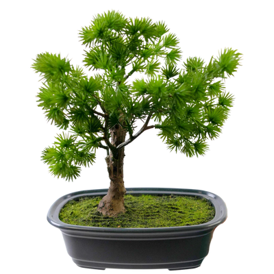 Bonsai artificial