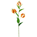 Gloriosa artificial