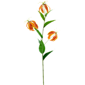 Gloriosa artificial