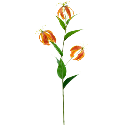 Gloriosa artificial