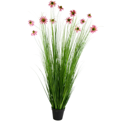 Plantas silvestres