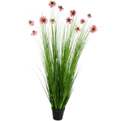 Plantas silvestres
