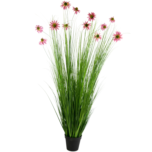 Plantas silvestres