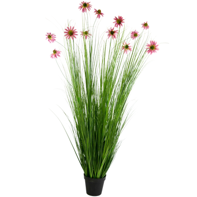 Plantas silvestres