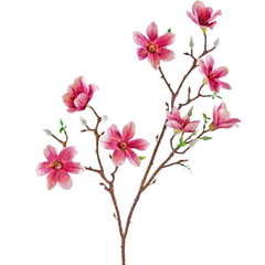 Magnolia artificial