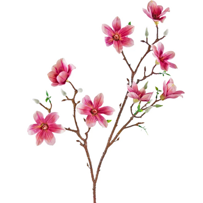 Magnolia artificial