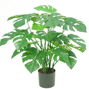Monstera artificial