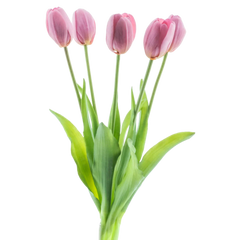 Tulipanes artisticos