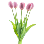 Tulipanes artisticos