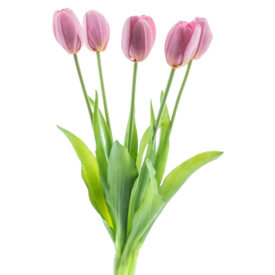 Tulipanes artisticos