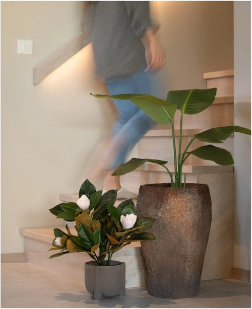 Una persona sube una escalera de madera y pasa junto a dos plantas en macetas: una es la magnolia artificial en una maceta de 46 cm con grandes hojas verdes y la otra es una planta pequeña de fácil cuidado con flores blancas. Ambos se colocan al pie de las escaleras como una elegante decoración interior.