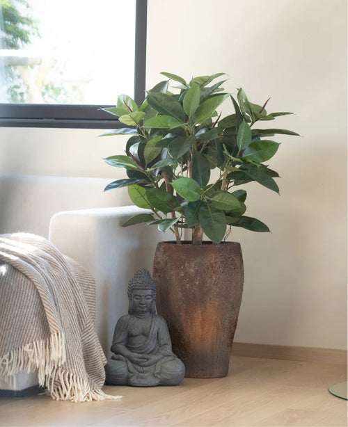 Una planta artificial de caucho de lujo de 90 cm se encuentra sobre un suelo de madera clara junto a una estatua de Buda gris, con la luz del sol cayendo sobre un sofá cercano envuelto en una manta con flecos beige y blanco.