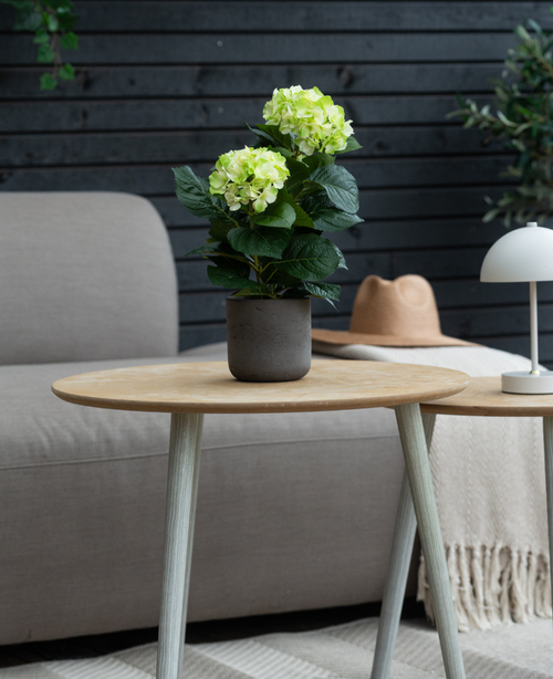 La planta Hortensia Artificial Verde UV 35 cm se encuentra sobre una mesa de madera frente a un sofá gris, acompañada de un sombrero beige y una lámpara blanca, con una pared de madera oscura al fondo.
